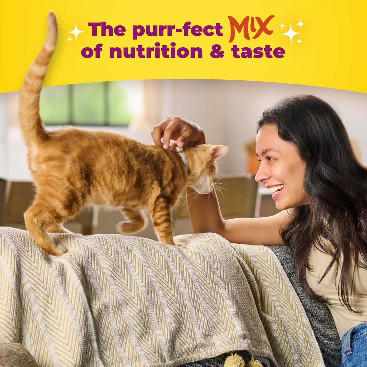 Meow Mix Tender Centers, Dry Cat Food, Beef & Salmon Flavors, 14.2 lb. Bag