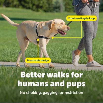 PetSafe Easy Walk Harness, No Pull Dog Harness, Raspberry, Medium/Large