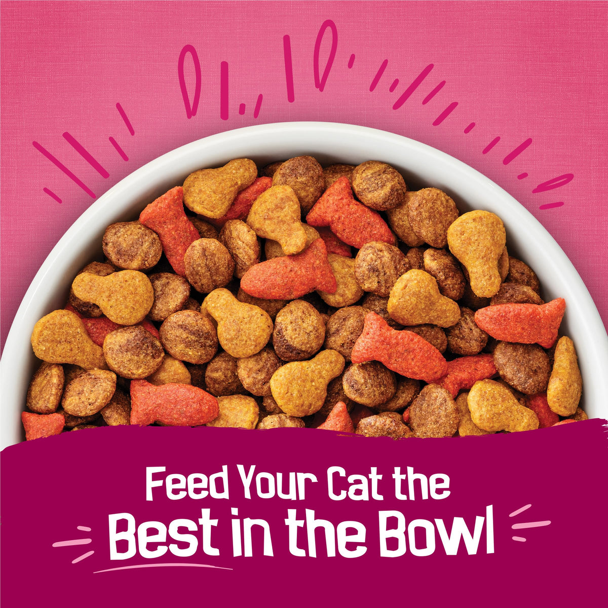 Purina Friskies Gravy Swirlers Dry Cat Food, Chicken & Salmon, 3.15 lb Bag
