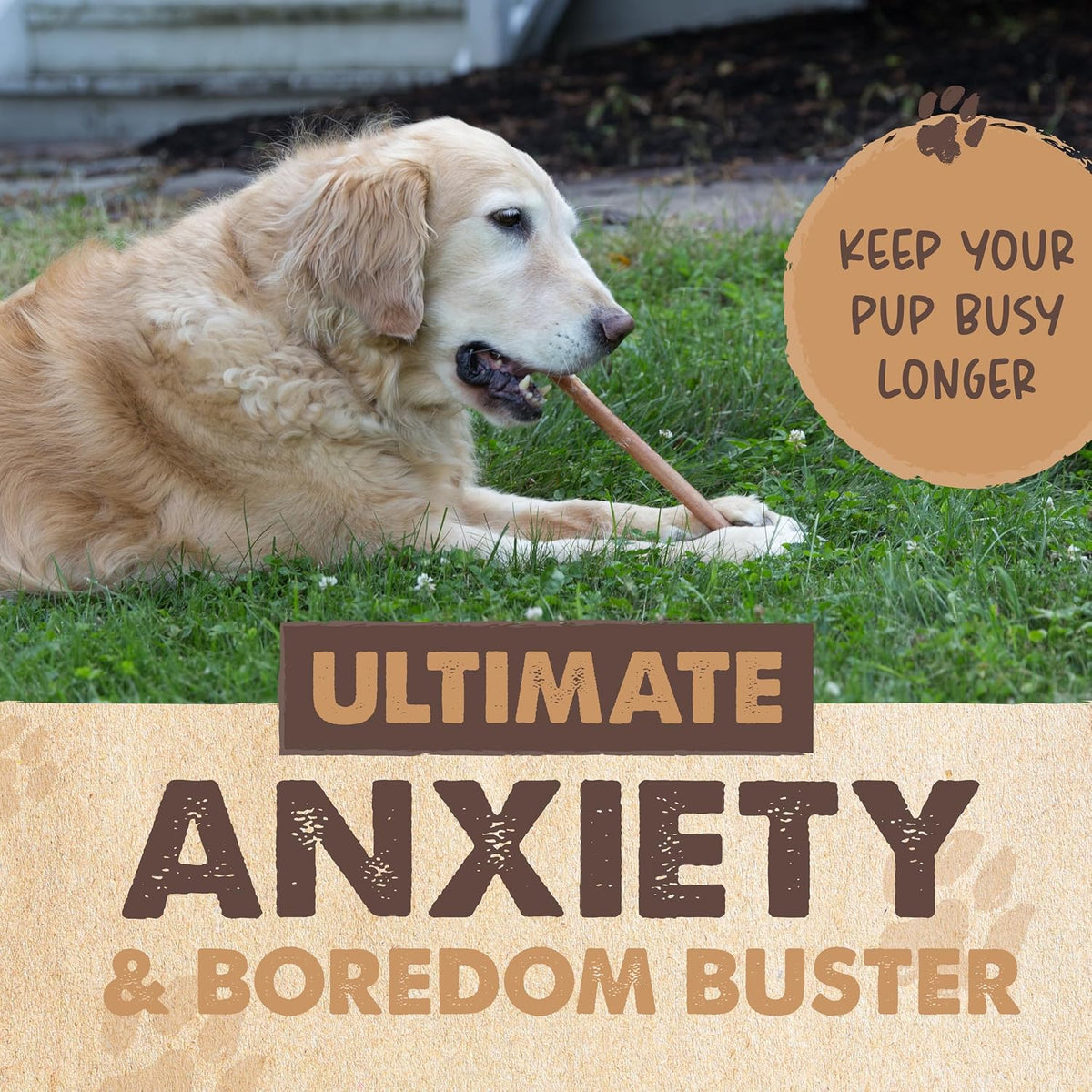 Mighty Paw 12" Bully Sticks for Dogs - Large, Medium and Small Breeds Chew