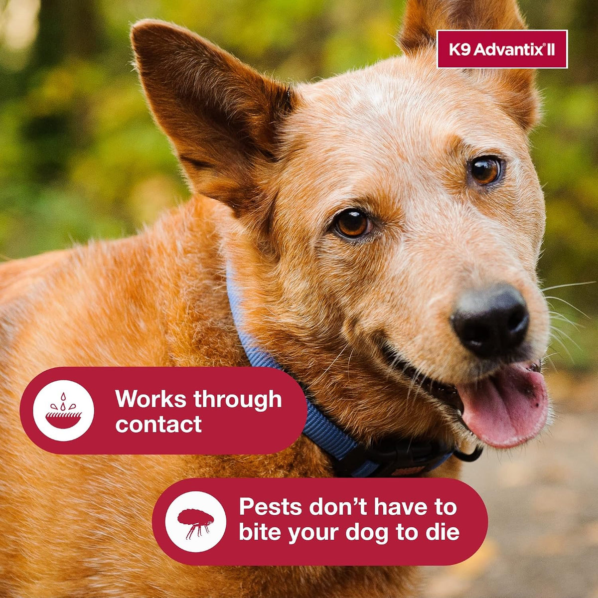 K9 Advantix II Flea & Tick Topical for Large Dogs 21–55 lbs., 2ct
