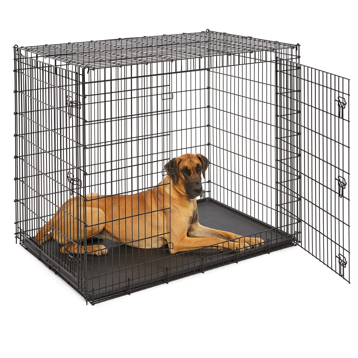 Midwest 42-Inch Single Door iCrate, for Large Breeds, 71-90 lbs