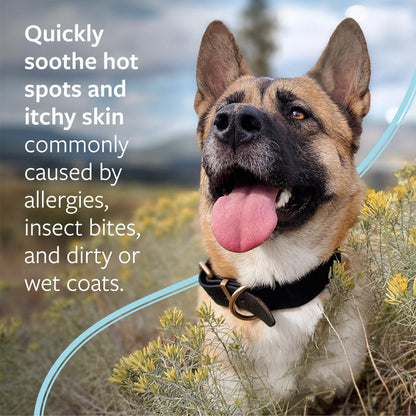 Veterinary Formula Clinical Care Hot Spot & Itch Spray, 8 Fl Oz (Pack of 12)