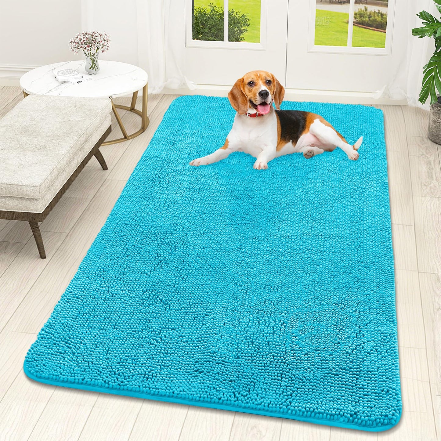 OLANLY Dog Door Mat for Muddy Paws 30x20, Super Absorbent Chenille Mud Mat