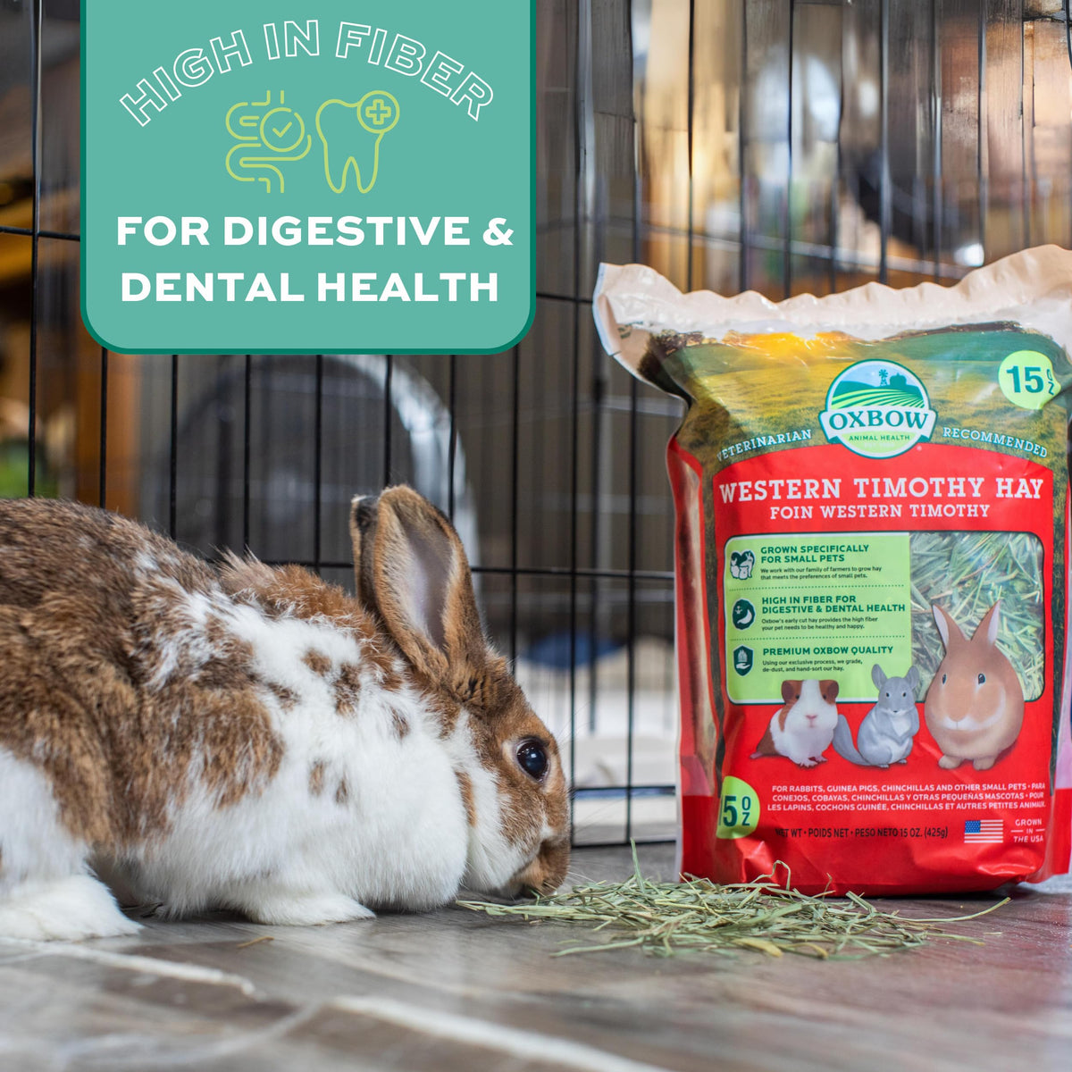 Oxbow Western Timothy Hay, Rabbit & Guinea Pig Hay, High Fiber, USA, 40 oz