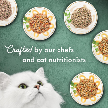 Purina Fancy Feast Appetizers and Broths Variety Pack (2 Pack) 24 Count