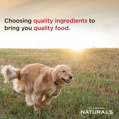 Diamond Naturals Small Breed Adult Dry Dog Food, Chicken & Rice, 18lb
