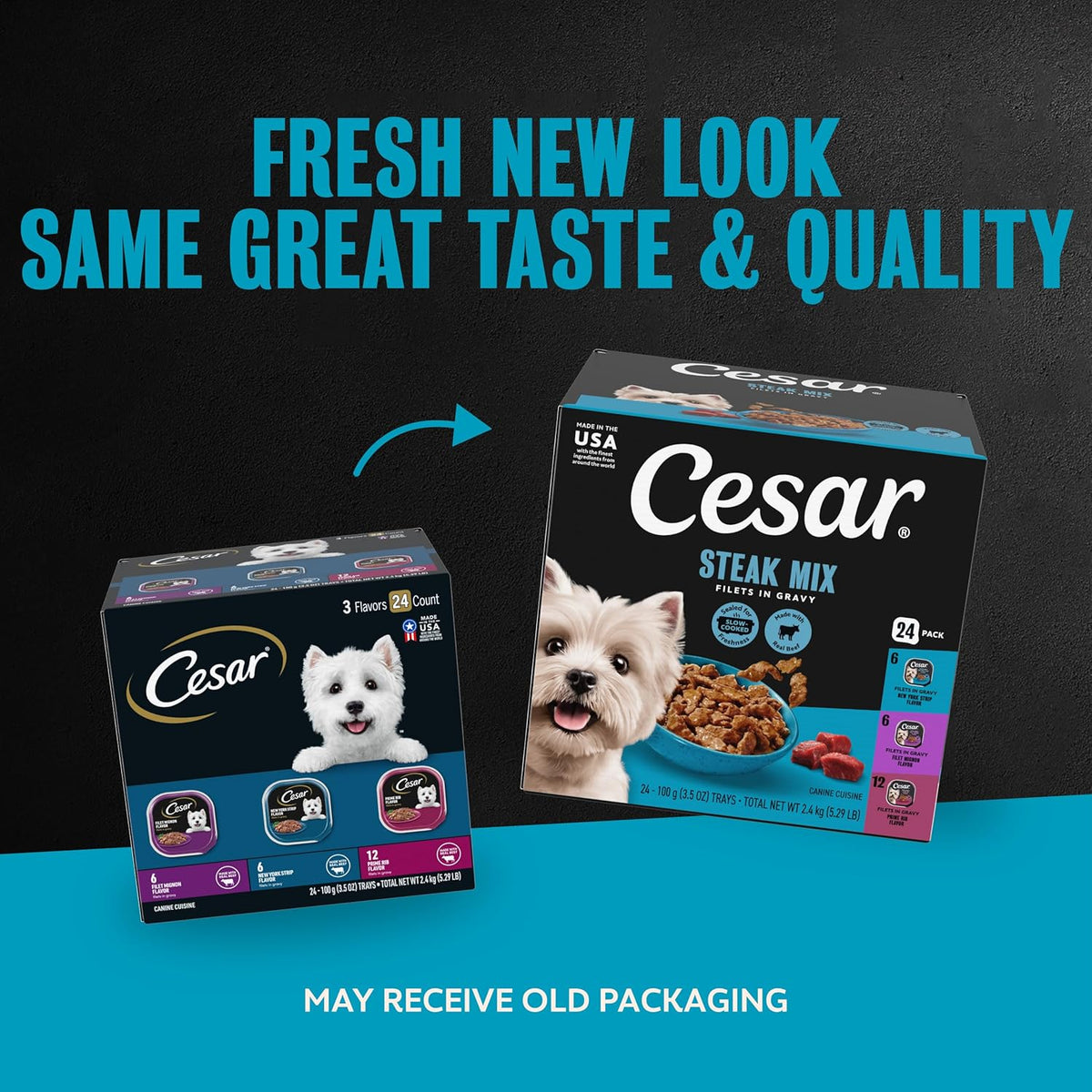 Cesar Filets in Gravy Wet Dog Food, Steak Mix Variety, 3.5 oz, 24 Count