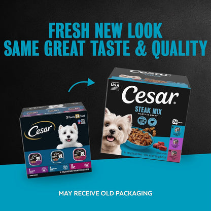 Cesar Filets in Gravy Wet Dog Food, Steak Mix Variety, 3.5 oz, 24 Count