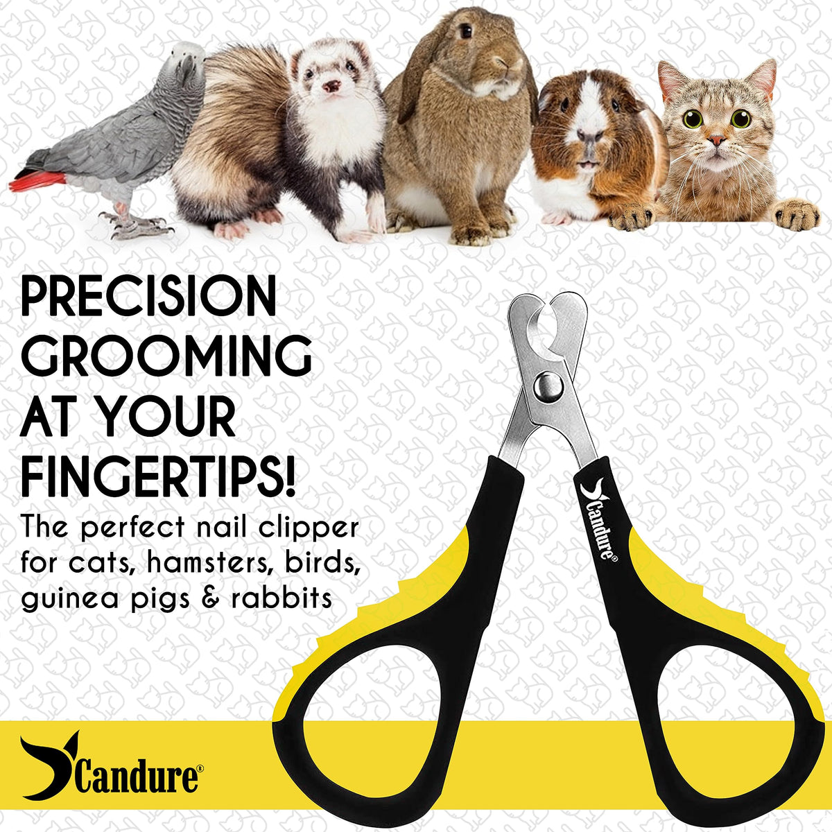 Candure Cat Nail Clippers for Indoor Cats, Rabbits, Hamsters, Birds with Precise Angled Edges to Ensure Easy & Safe Trimming Stainless Steel Cat Nail Trimmer for At-Home Cat Grooming