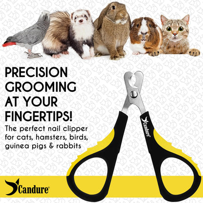 Candure Cat Nail Clippers for Indoor Cats, Rabbits, Hamsters, Birds with Precise Angled Edges to Ensure Easy & Safe Trimming Stainless Steel Cat Nail Trimmer for At-Home Cat Grooming