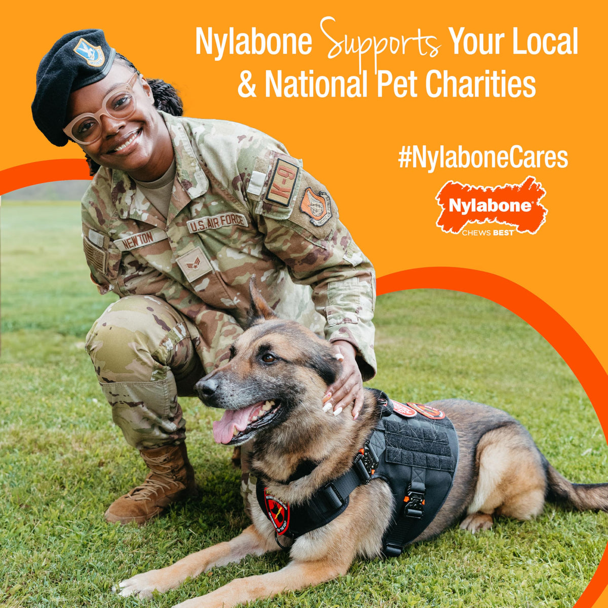 Nylabone Healthy Edibles Puppy Dog Treats Variety Pack, 3 Count
