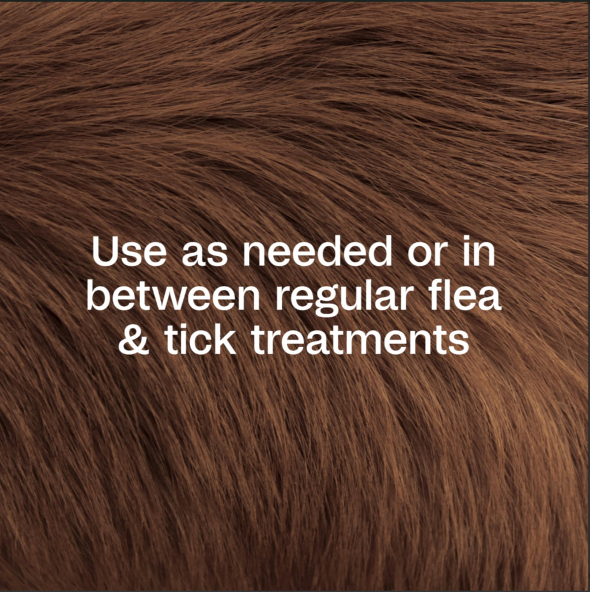 ADAMS Flea & Tick Home Spray for Bed Bugs, Fleas & Ticks, 24 oz