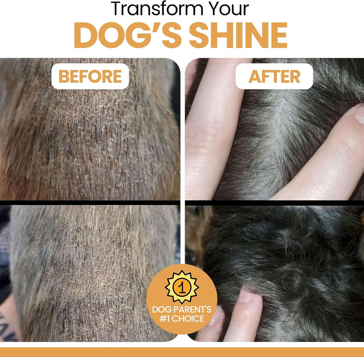 Salmon Oil for Dogs - Premium Fish Oil for Skin and Coat Health - Omega 3 Supplement - Supports Itchy Skin - 8 oz Liquid - Norwegian Dog Salmon Oil - Essential Dog Supplement