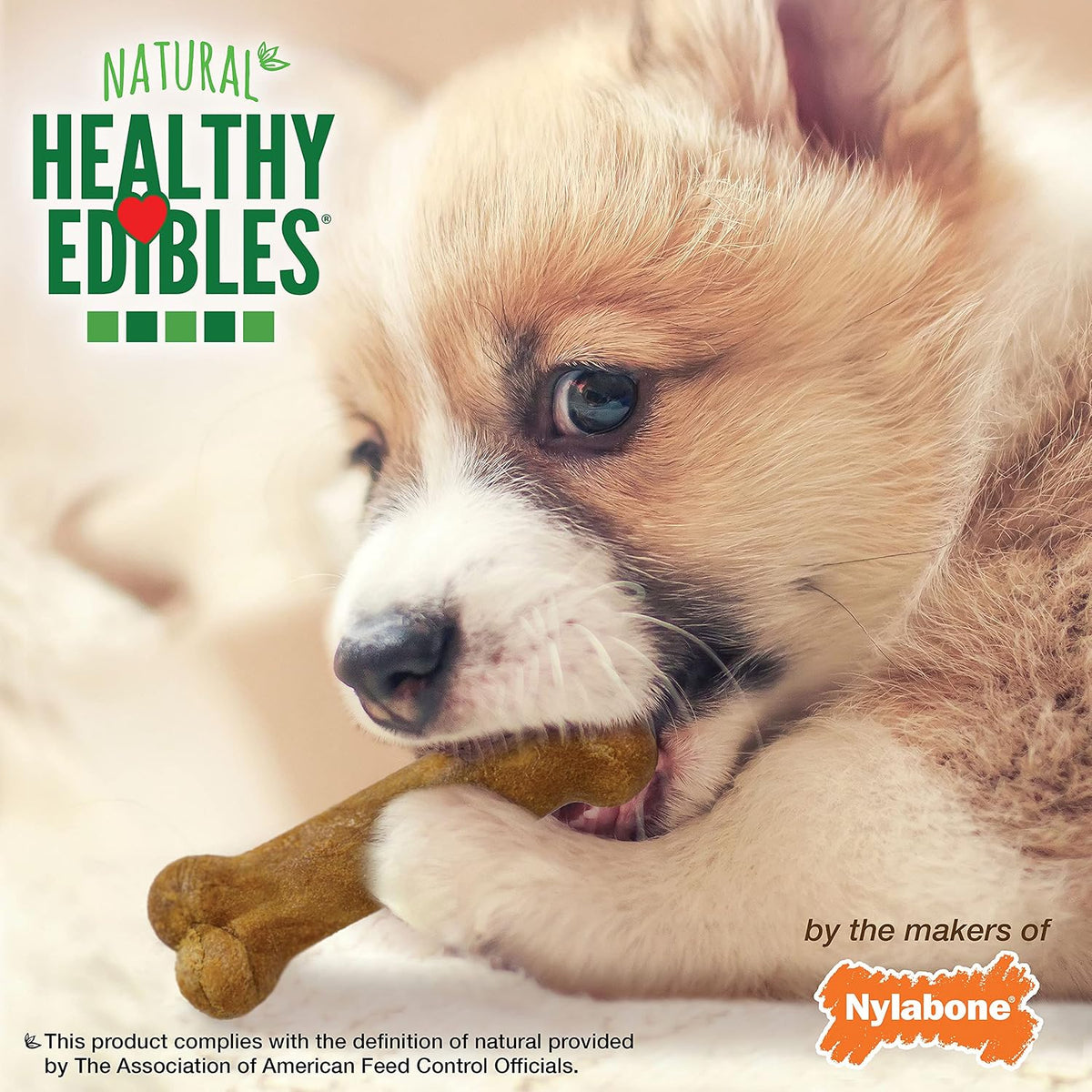 Nylabone Healthy Edibles Puppy Dog Treats Variety Pack, 3 Count