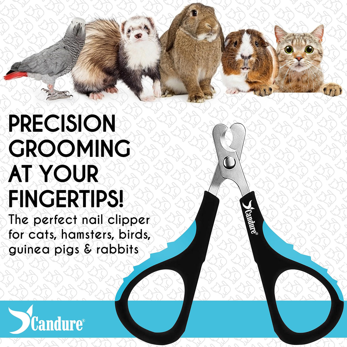 Candure Cat Nail Clippers for Indoor Cats, Rabbits, Hamsters, Birds with Precise Angled Edges to Ensure Easy & Safe Trimming Stainless Steel Cat Nail Trimmer for At-Home Cat Grooming
