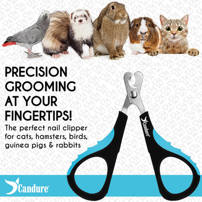 Candure Cat Nail Clippers for Indoor Cats, Rabbits, Hamsters, Birds with Precise Angled Edges to Ensure Easy & Safe Trimming Stainless Steel Cat Nail Trimmer for At-Home Cat Grooming