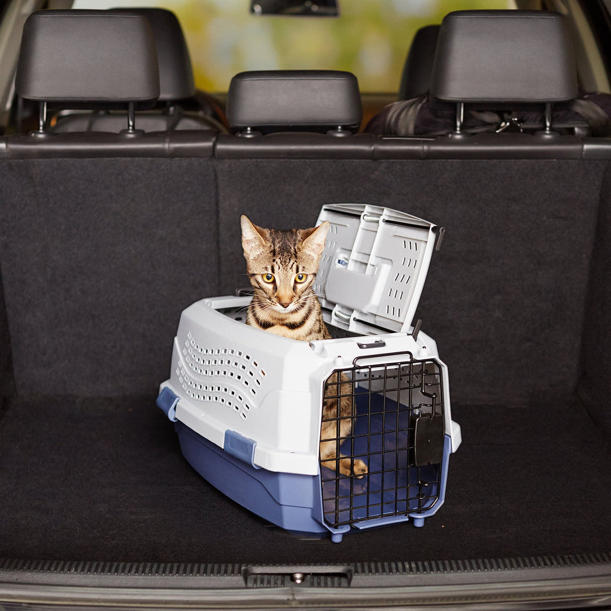 Amazon Basics Sturdy Portable 2-Door Top-Load Hard-Sided Pet Travel Carrier with Secure Ventilation, Handle, Front & Top Entry for Dogs, Cats, 22.8"L x 15"W x 13"H, Gray & Blue