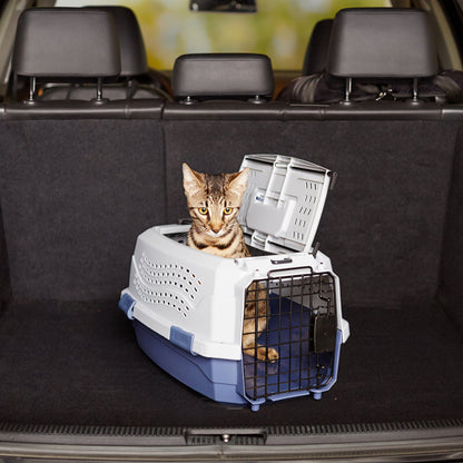 Amazon Basics Sturdy Portable 2-Door Top-Load Hard-Sided Pet Travel Carrier with Secure Ventilation, Handle, Front & Top Entry for Dogs, Cats, 22.8"L x 15"W x 13"H, Gray & Blue