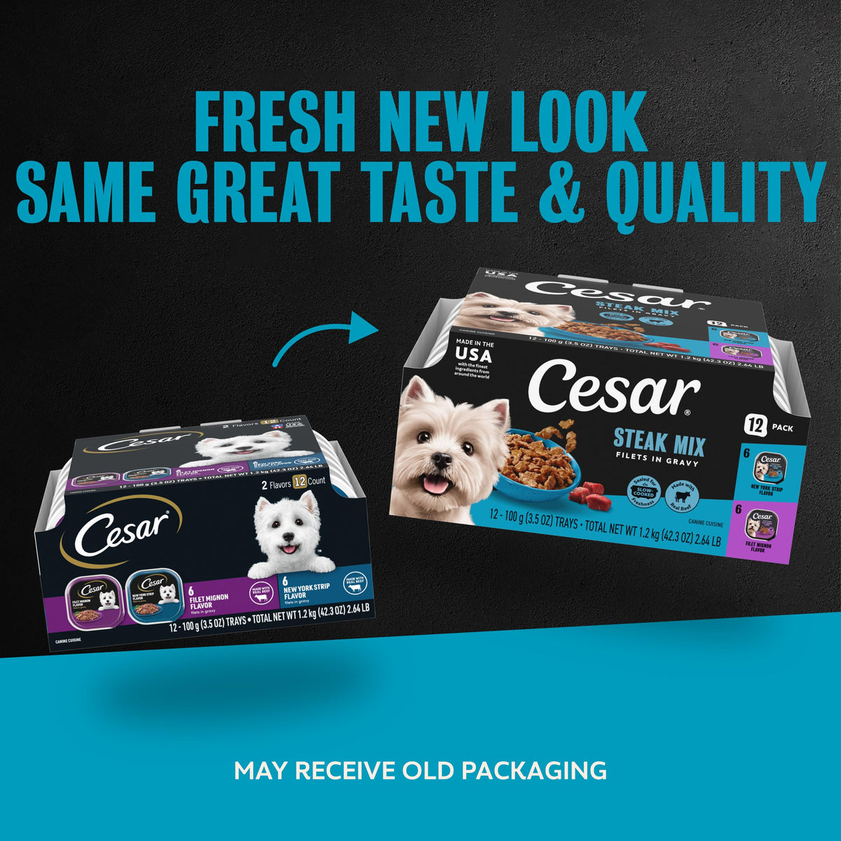 Cesar Filets in Gravy Wet Dog Food, Steak Mix Variety, 3.5 oz, 24 Count