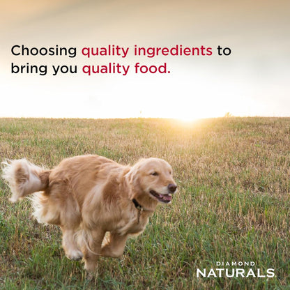 DIAMOND NATURALS Adult Dry Dog Food, Lamb Meal & Rice, 6lb