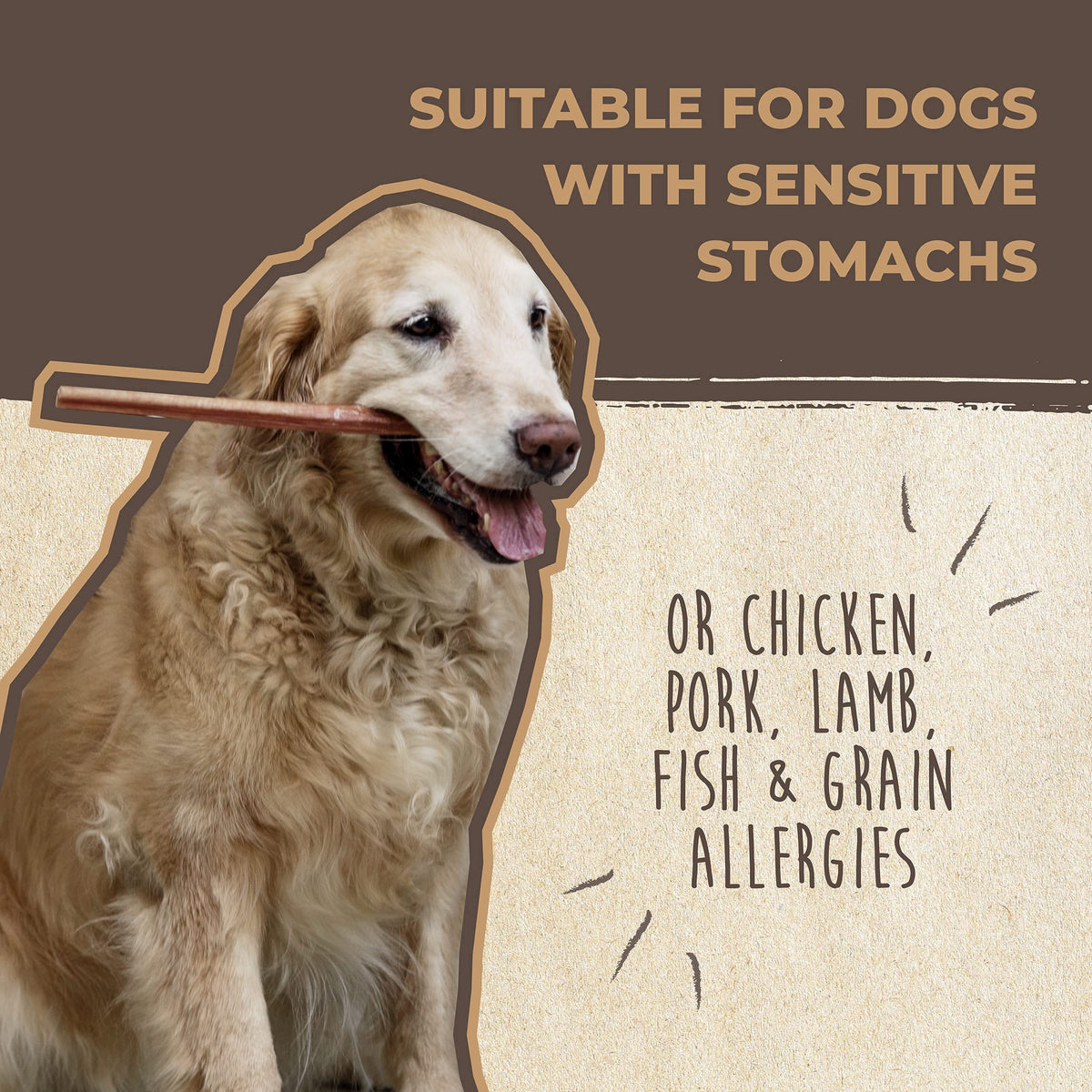 Mighty Paw Naturals Bully Sticks, 6 in, 25 Pack, Grass-Fed Beef Dog Chews