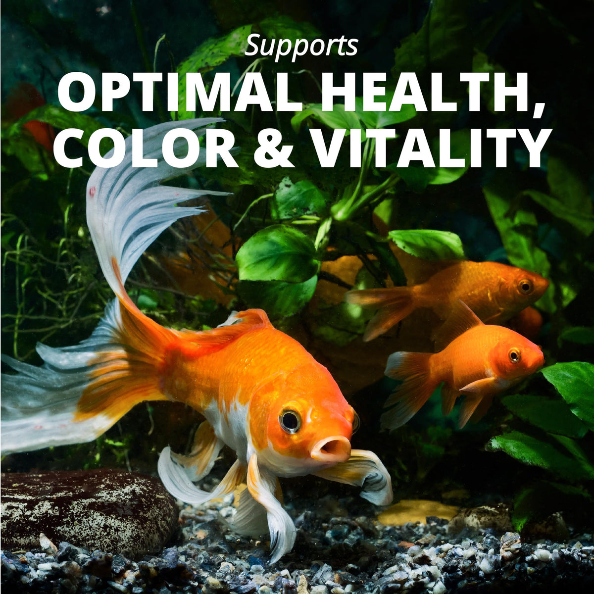 Tetra Goldfish Flakes, Nutritionally Balanced Diet For Aquarium Fish, Vitamin C Enriched Flakes, 0.42 oz