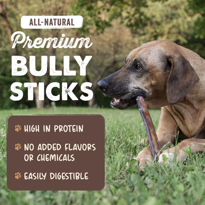 Mighty Paw 12" Bully Sticks for Dogs - Large, Medium and Small Breeds Chew