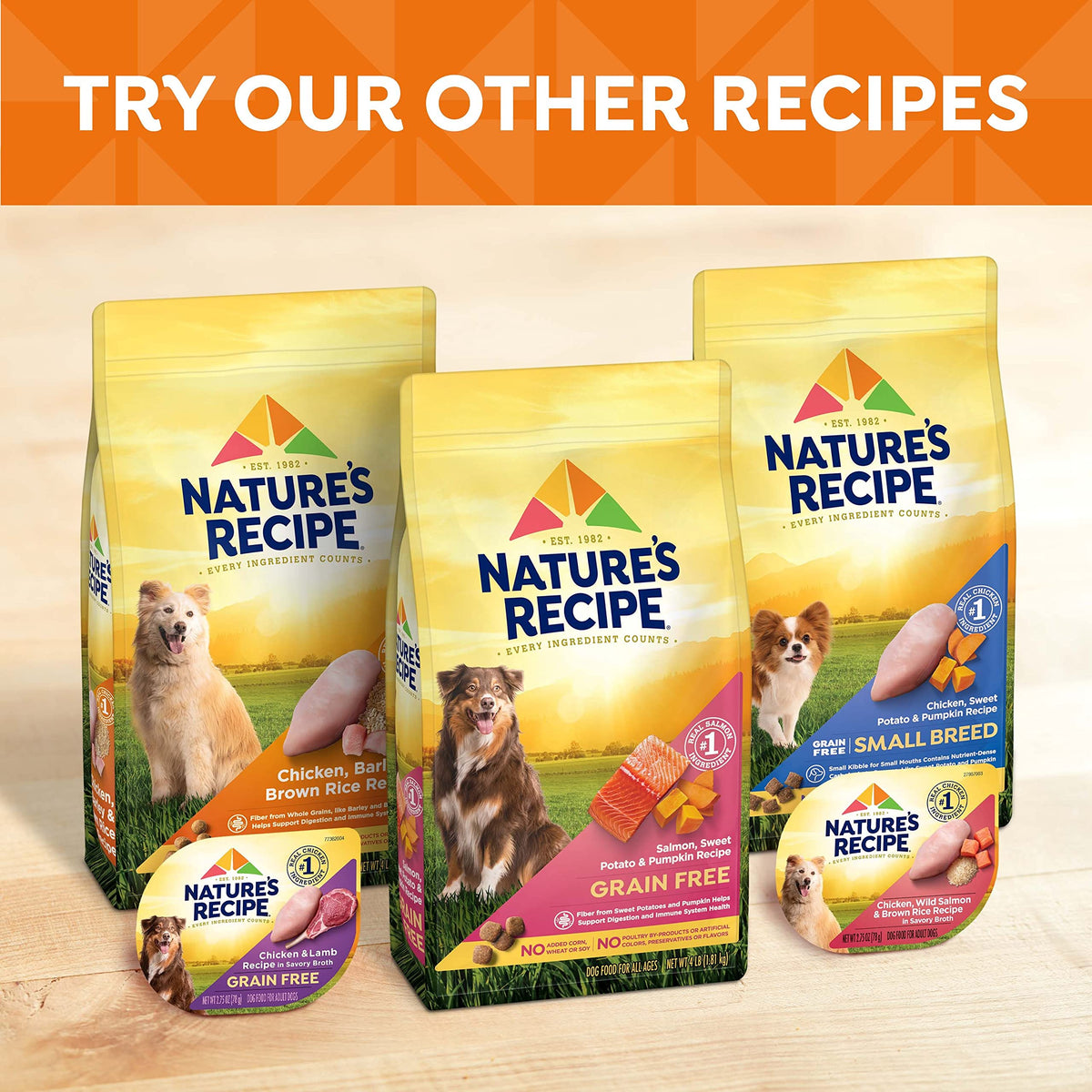 Nature's Recipe Grain Free Salmon Dry Dog Food, 4 lb. Bag