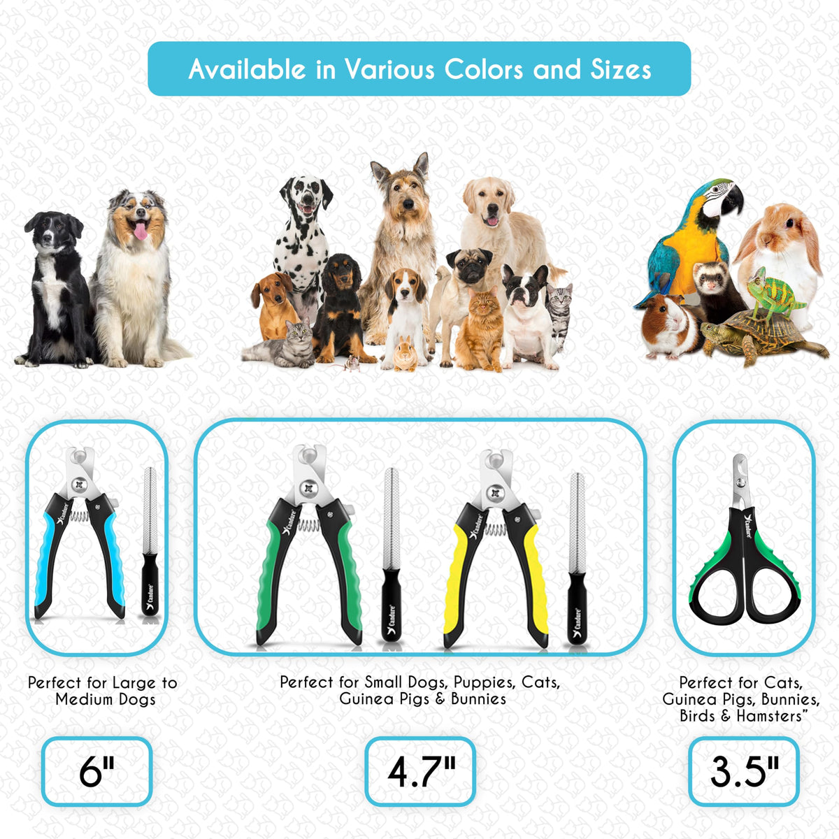 Candure Cat Nail Clippers for Indoor Cats, Rabbits, Hamsters, Birds with Precise Angled Edges to Ensure Easy & Safe Trimming Stainless Steel Cat Nail Trimmer for At-Home Cat Grooming