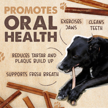 Mighty Paw Bully Sticks, Curly Grass-Fed Beef Dog Chews, 12", 5 Pack