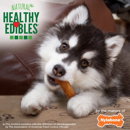 Nylabone Healthy Edibles Puppy Dog Treats Variety Pack, 3 Count