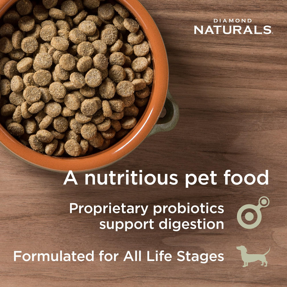 Diamond Naturals Small Breed Adult Dry Dog Food, Lamb & Rice, 18lb