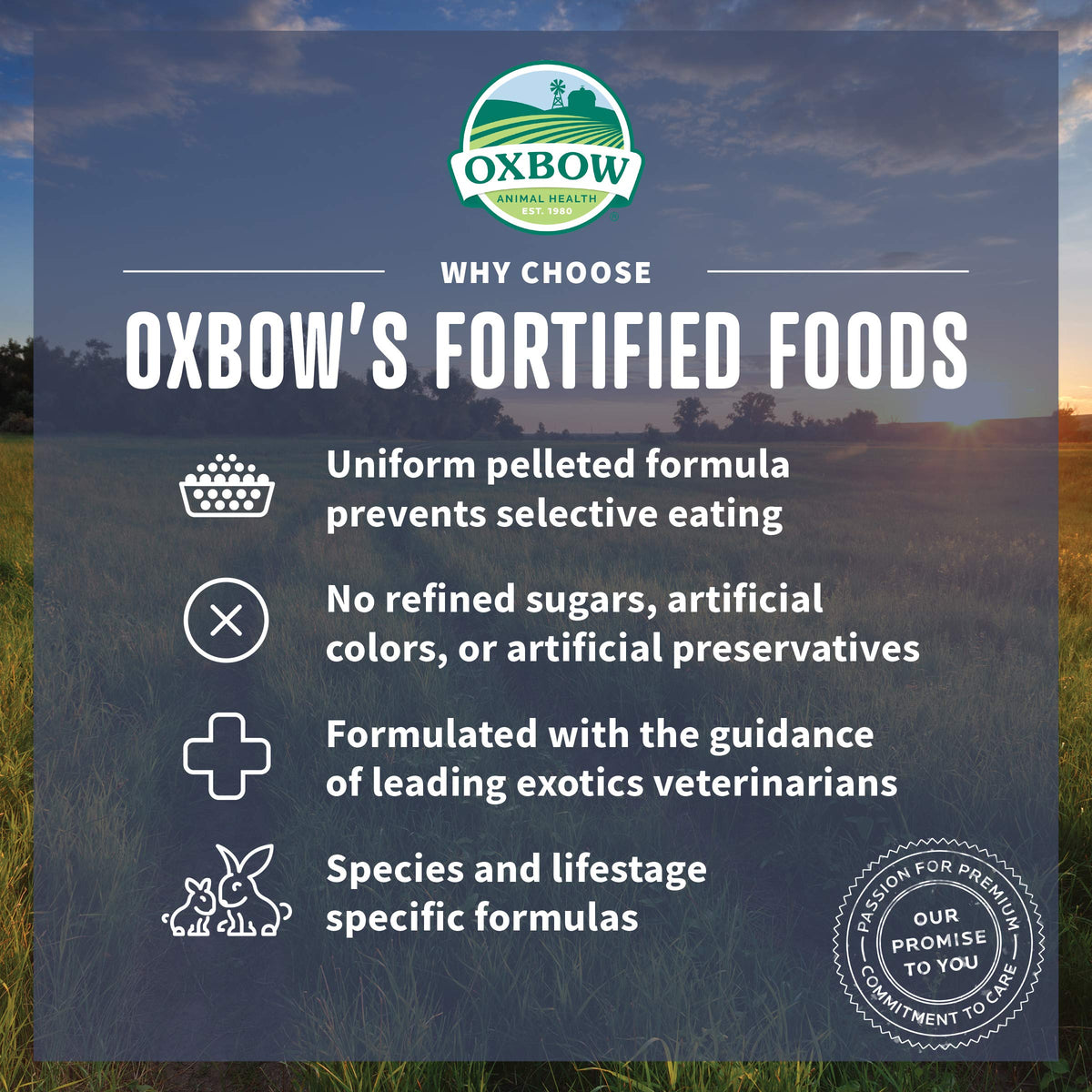 Oxbow Essentials Young Rabbit Food, High-Fiber Rabbit Pellets, USA, 10 lb