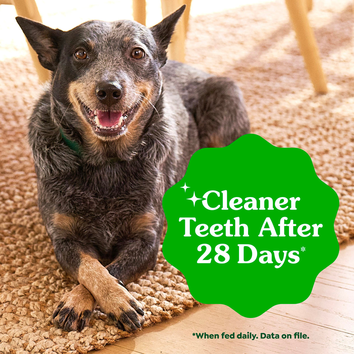 Greenies Teenie Natural Dental Dog Treats, Fresh Mint Flavor, 43 Count