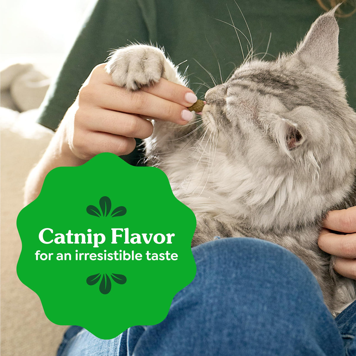Greenies Feline Natural Dental Cat Treats, Catnip Flavor, 9.75 oz