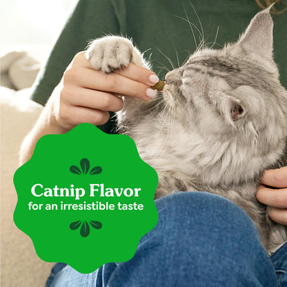 Greenies Feline Natural Dental Cat Treats, Catnip Flavor, 9.75 oz