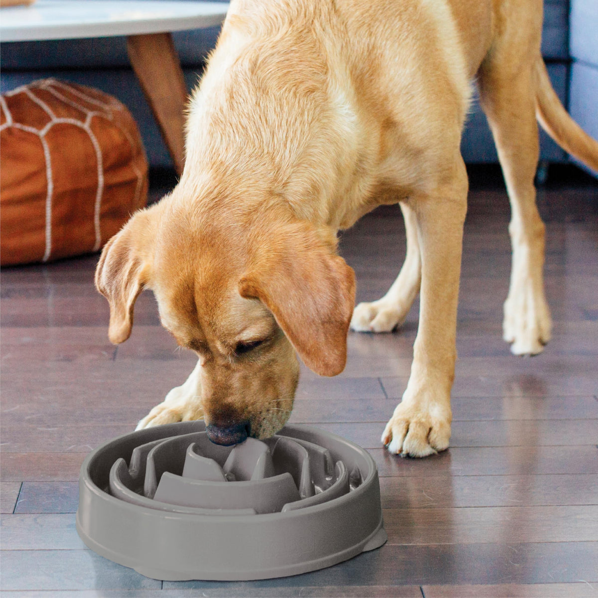 Outward Hound Fun Feeder Slo Bowl Dog Slow Feeder, Wave, Pink, 5.8"