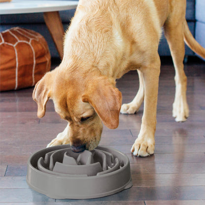 Outward Hound Fun Feeder Slo Bowl Dog Slow Feeder, Wave, Pink, 5.8"