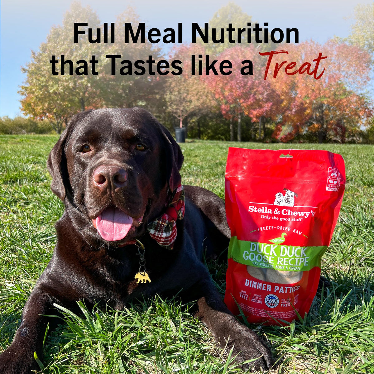 Stella & Chewy's Freeze-Dried Raw Dinner Patties - Chicken Recipe - High Protein Grain-Free Puppy & Dog Food - Perfect For Picky Eaters - 25 oz