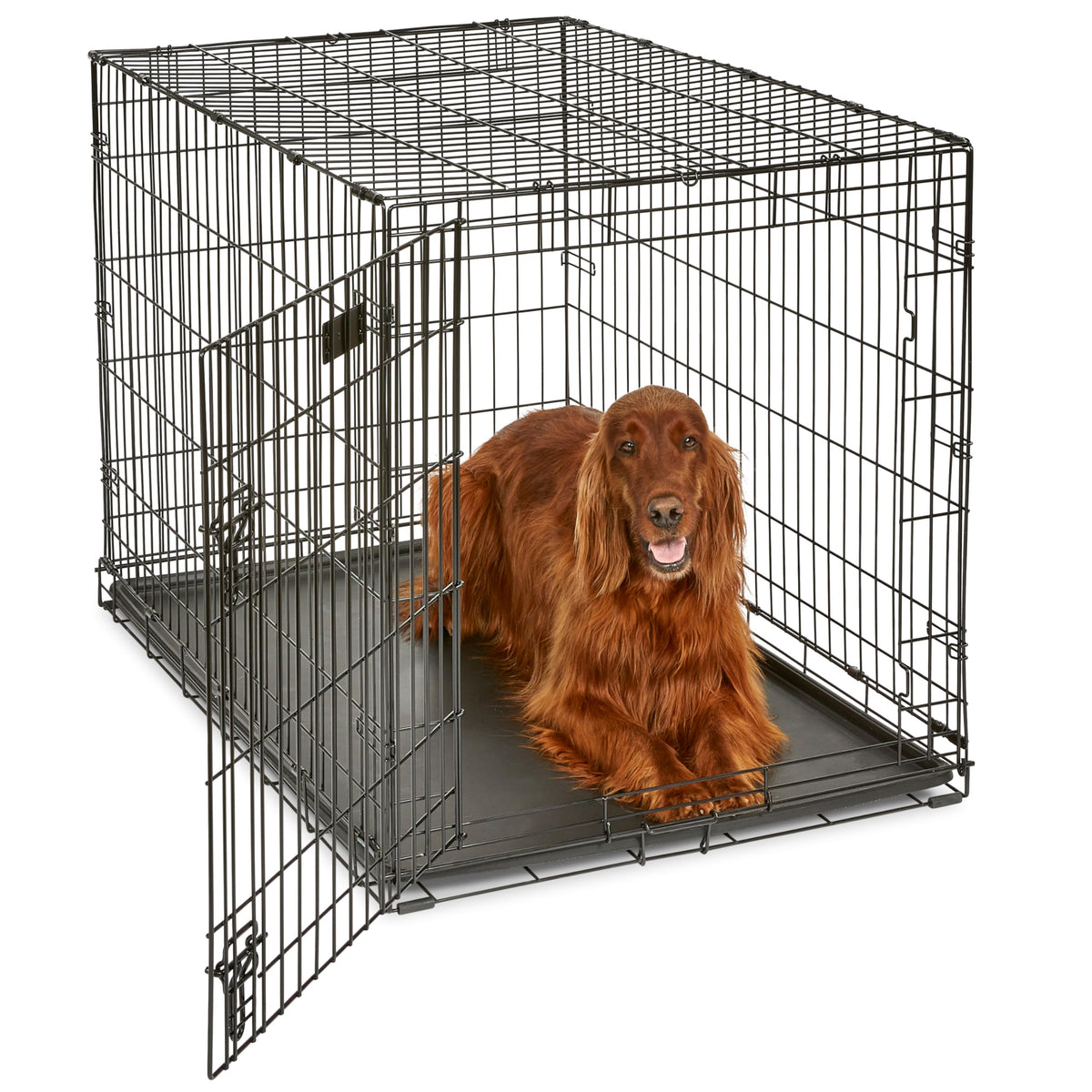Midwest 30-Inch Single Door iCrate, for Medium Breeds, 21-40 lbs
