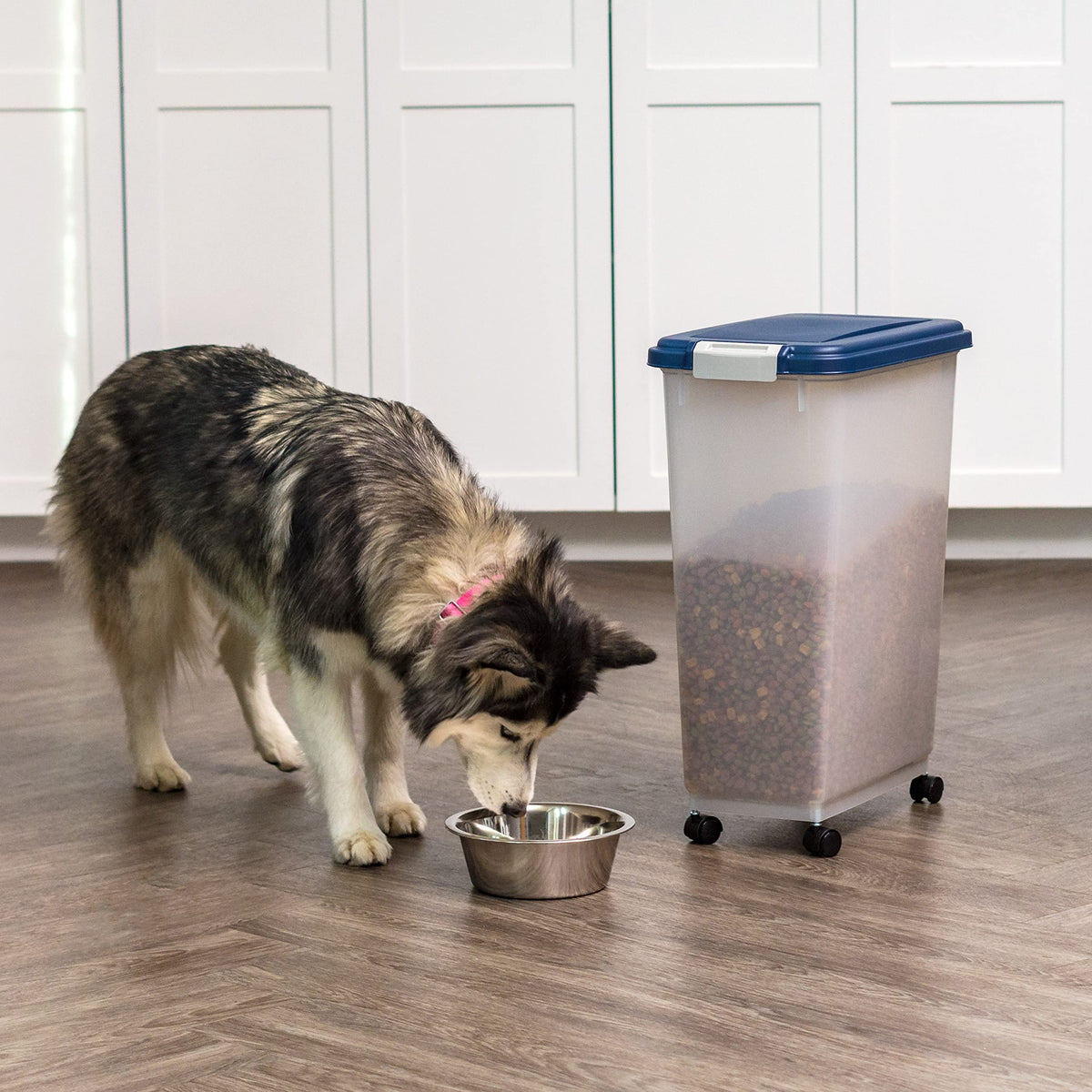 IRIS USA Dog Food Storage Container, Up to 10 lbs, Clear/Gray, Made in USA