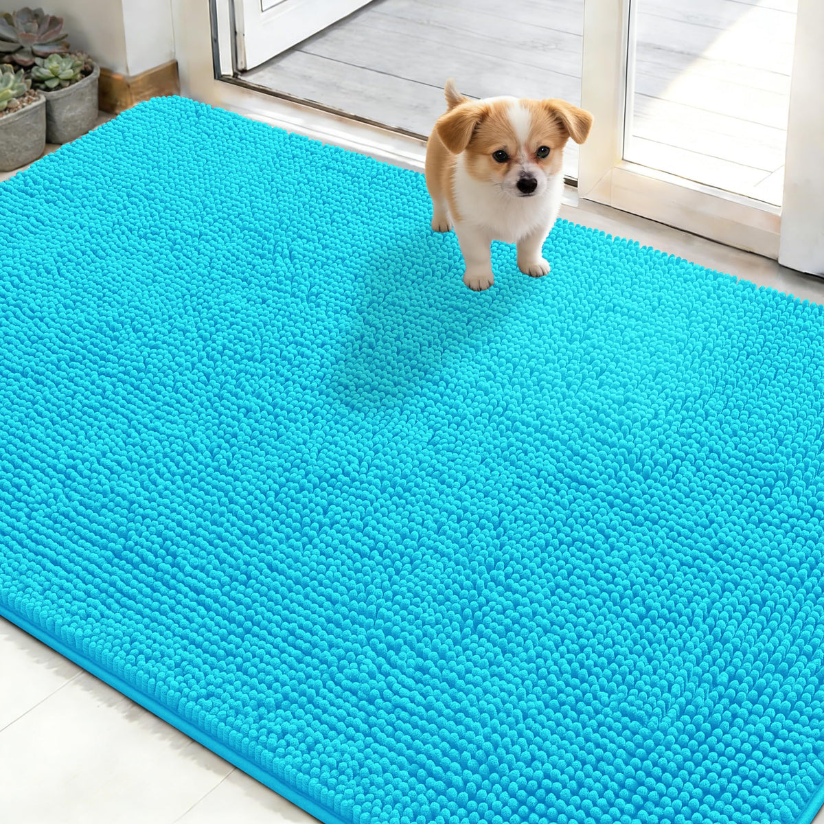 OLANLY Dog Door Mat for Muddy Paws 30x20, Super Absorbent Chenille Mud Mat