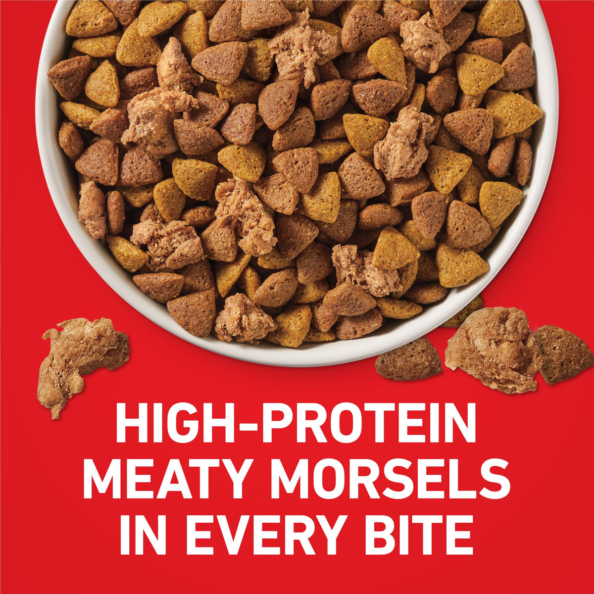 Purina ONE Lamb and Rice Formula Dry Dog Food for Digestive Support
