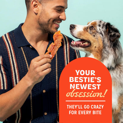 Pur Luv Dog Treats, K9 Kabobs Made with Real Chicken and Duck, 12 Ounces, Dog Snacks, Healthy, Easily Digestible, Long-Lasting, High Protein Treat, Satisfies Urge to Chew (Pack of 12)