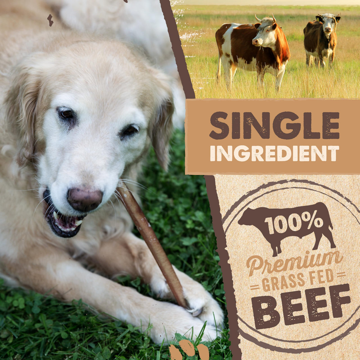 Mighty Paw Bully Sticks, Curly Grass-Fed Beef Dog Chews, 12", 5 Pack