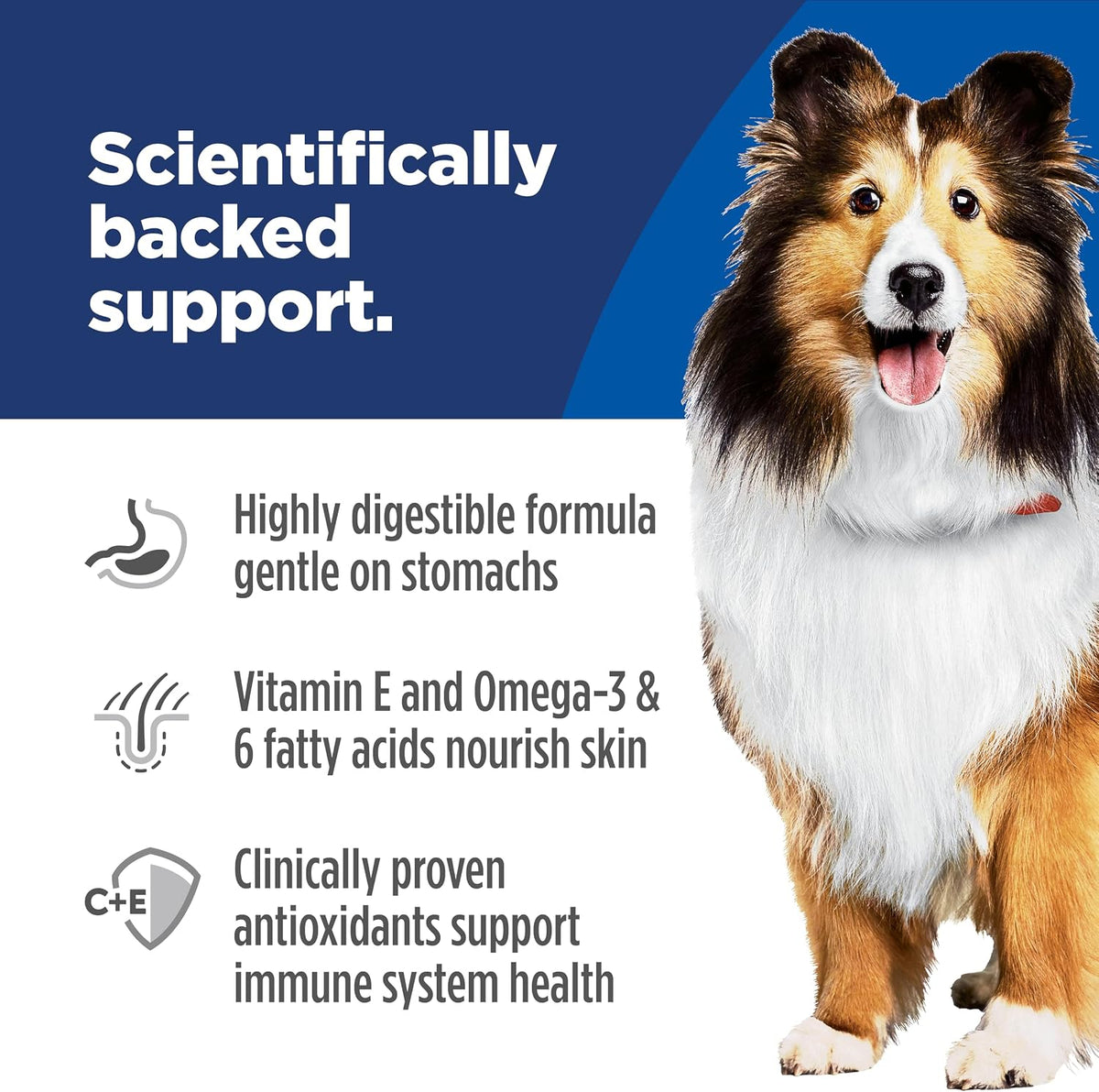Hill's Science Diet Sensitive Stomach & Skin Wet Dog Food