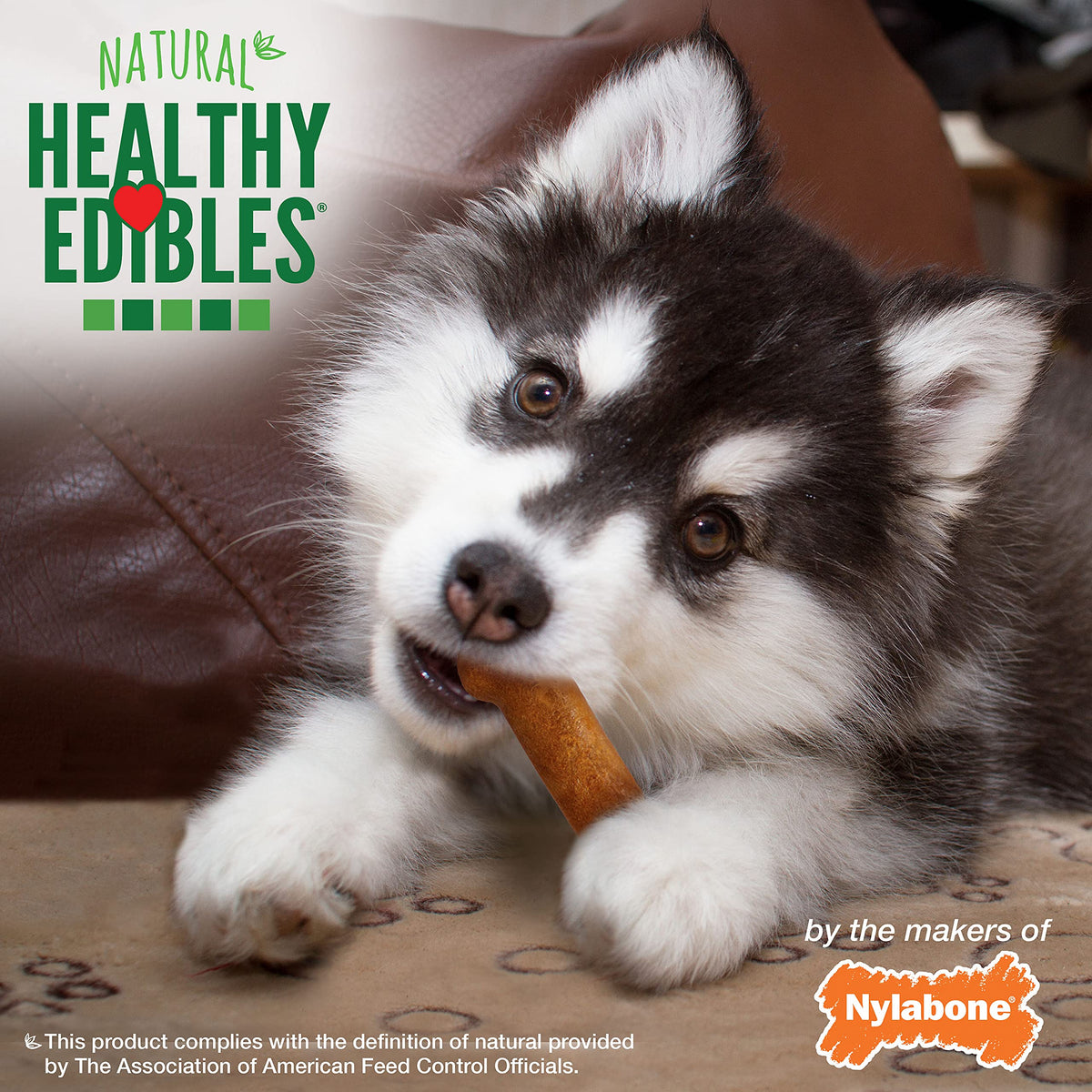 Nylabone Healthy Edibles Puppy Dog Treats Variety Pack, 3 Count