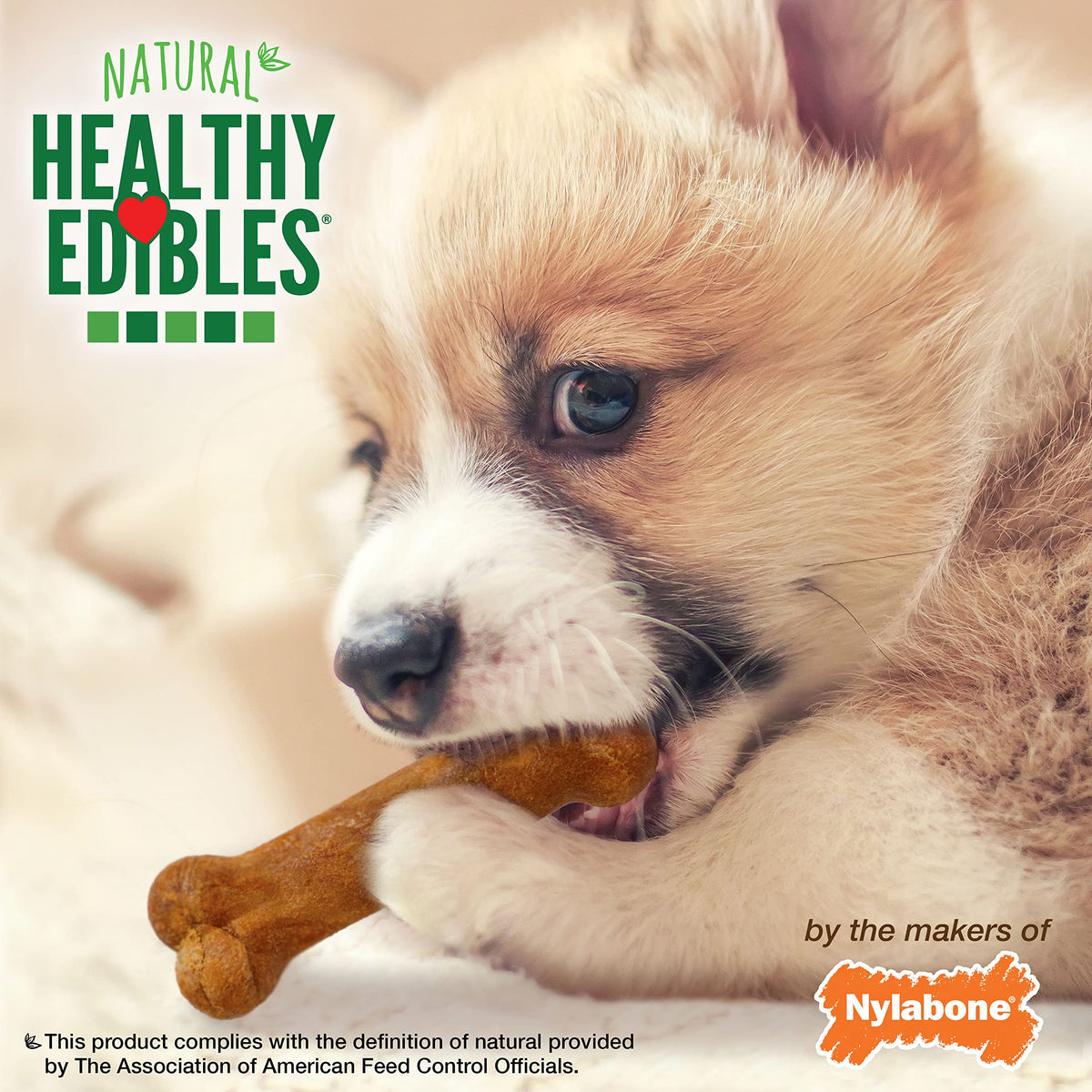 Nylabone Healthy Edibles Puppy Dog Treats Variety Pack, 3 Count