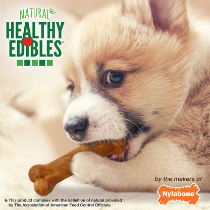 Nylabone Healthy Edibles Puppy Dog Treats Variety Pack, 3 Count